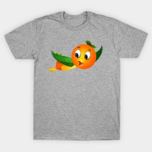 Florida Orange Bird T-Shirt